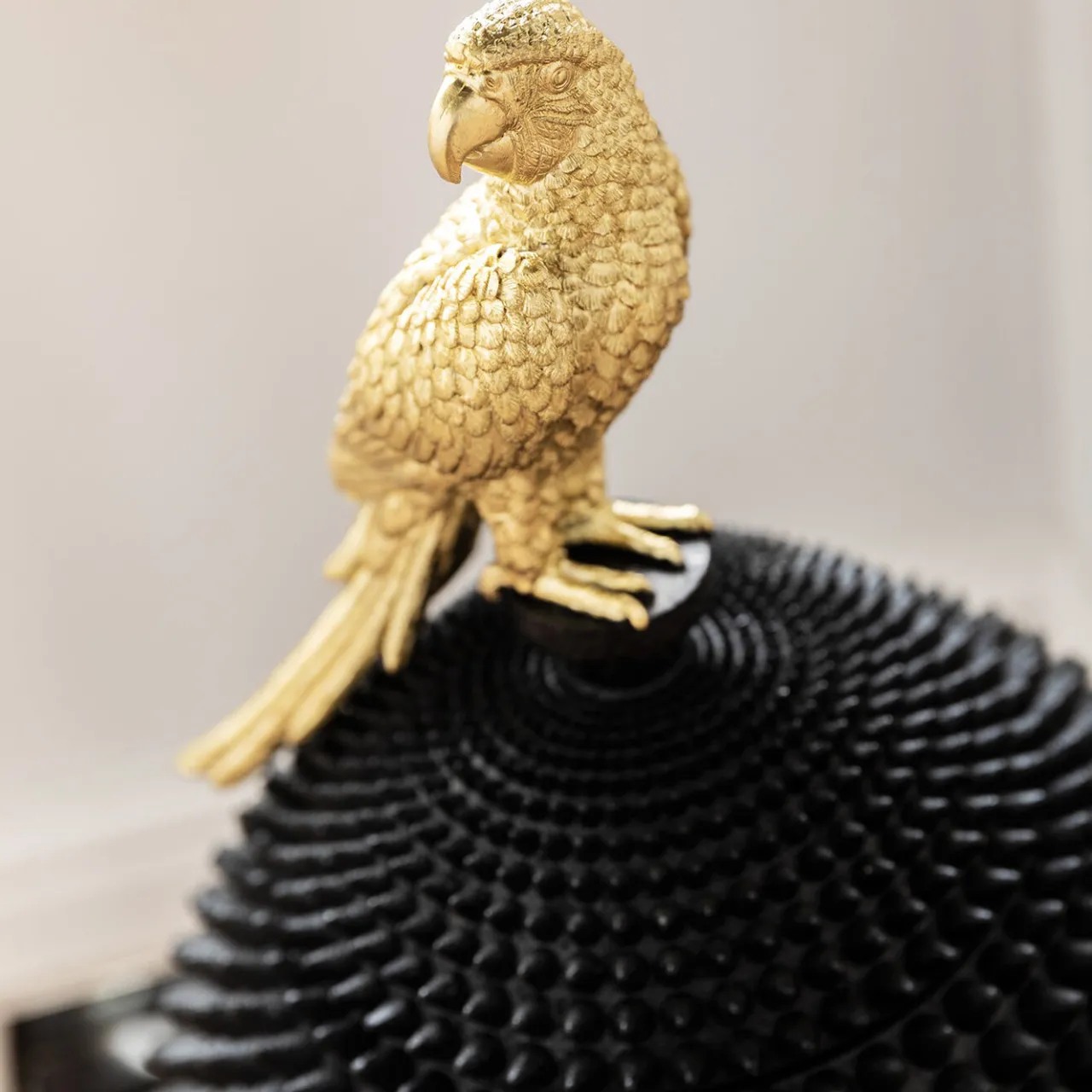 KARE Design Boite Décorative Parrot 40Cm Best