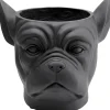 KARE Design Cachepot Décoratif Bulldog Noir Online