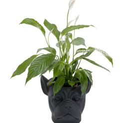 KARE Design Cachepot Décoratif Bulldog Noir Online