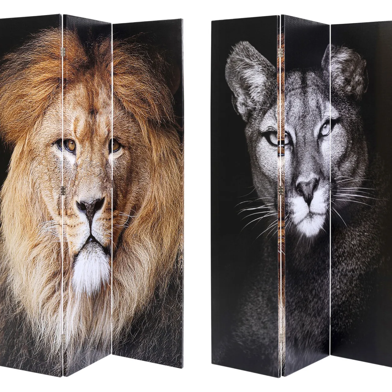 KARE Design Paravent King Lion Vs Cat Girl 120X180 New