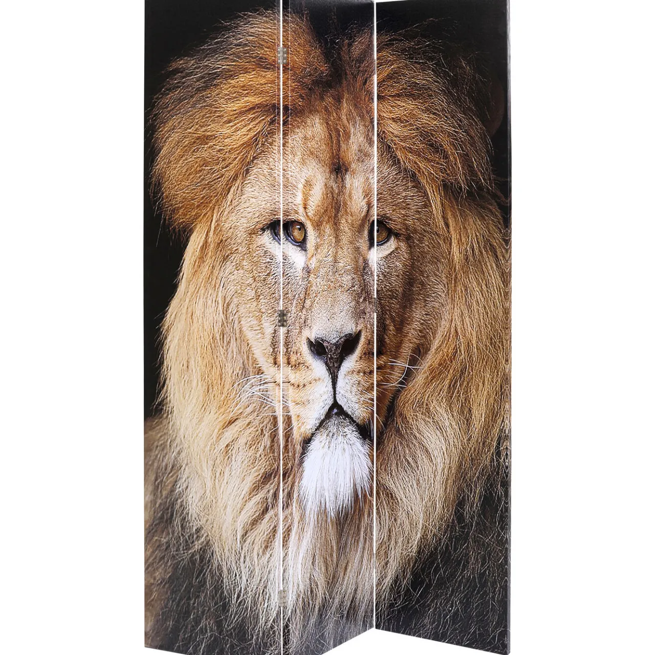 KARE Design Paravent King Lion Vs Cat Girl 120X180 New