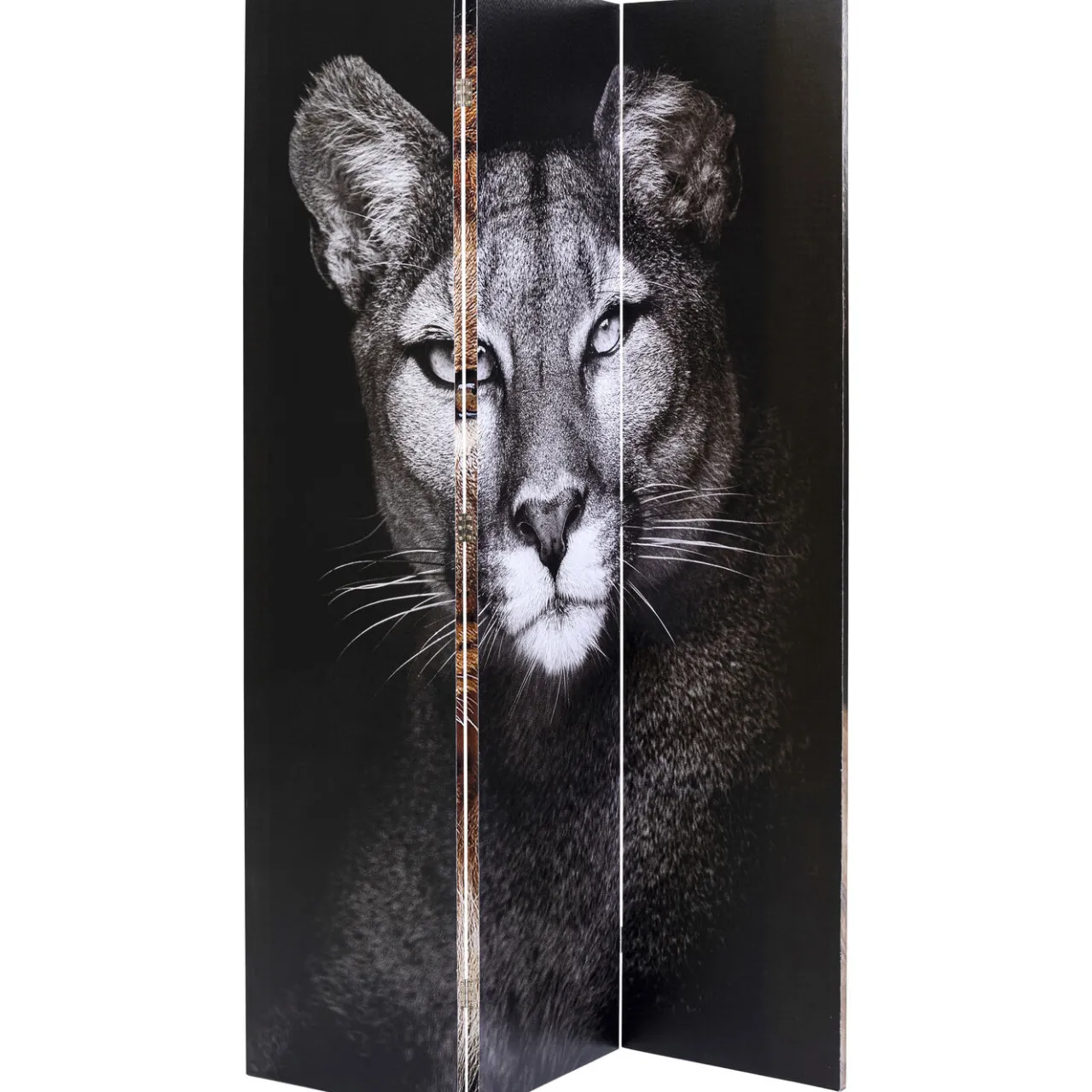 KARE Design Paravent King Lion Vs Cat Girl 120X180 New