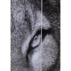 KARE Design Paravent King Lion Vs Cat Girl 120X180 New