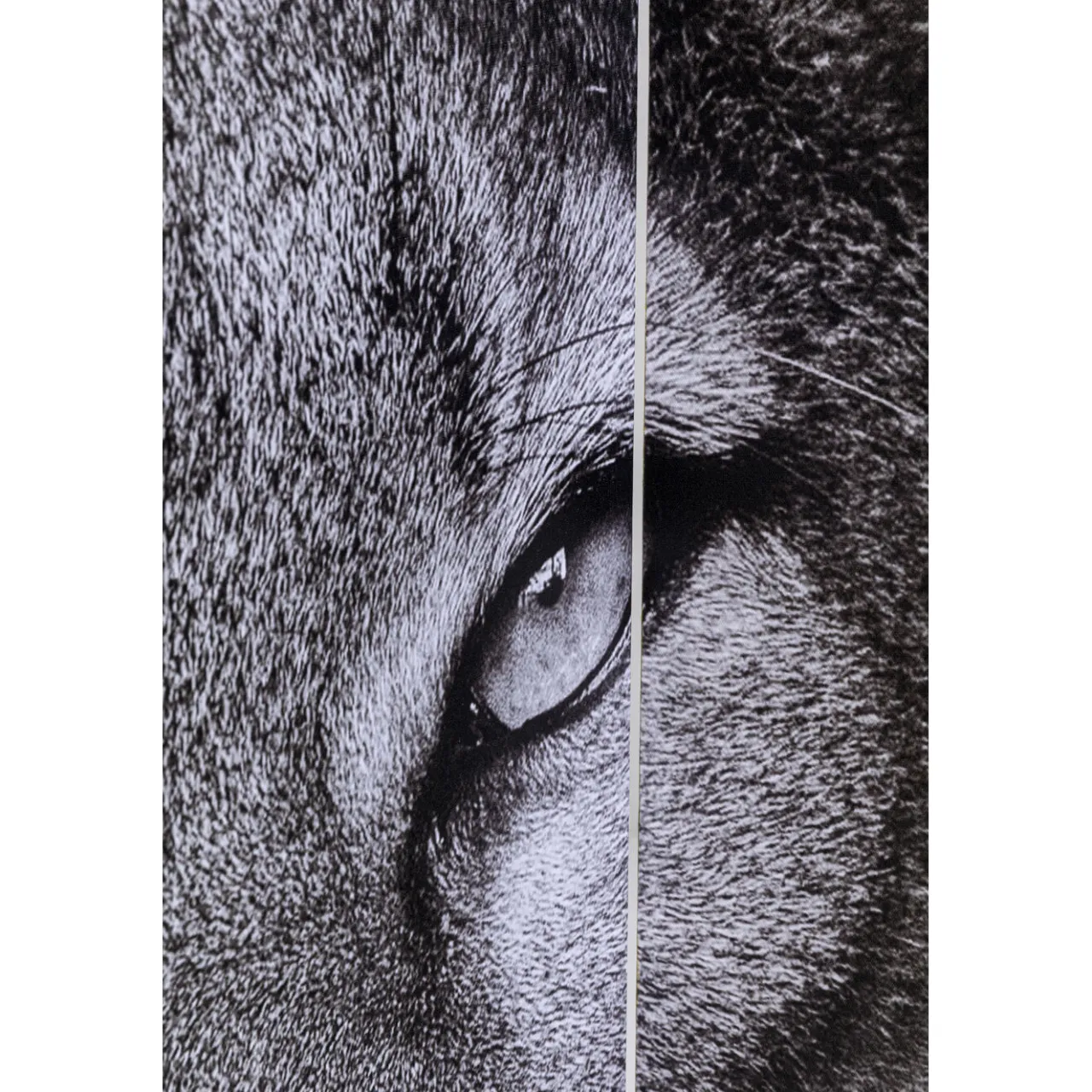 KARE Design Paravent King Lion Vs Cat Girl 120X180 New