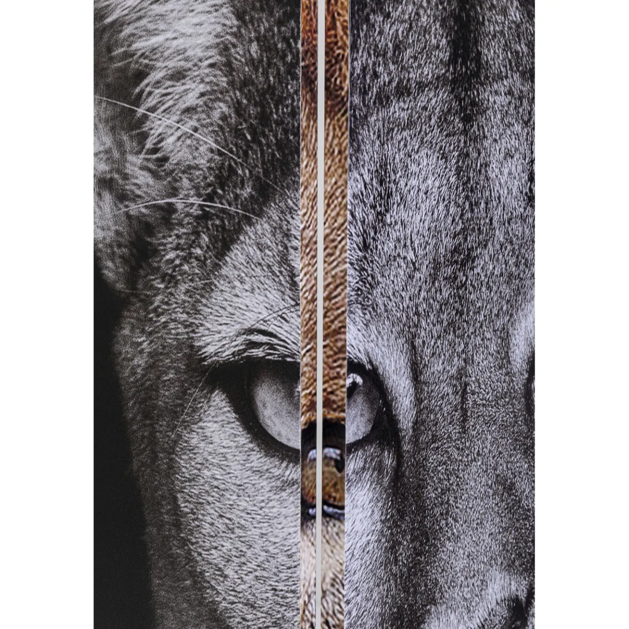 KARE Design Paravent King Lion Vs Cat Girl 120X180 New