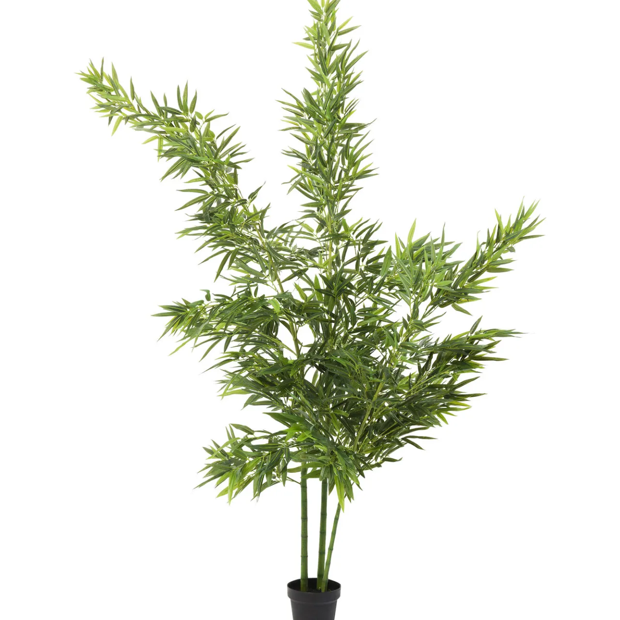 KARE Design Plante Décorative Bamboo Tree 200Cm Outlet