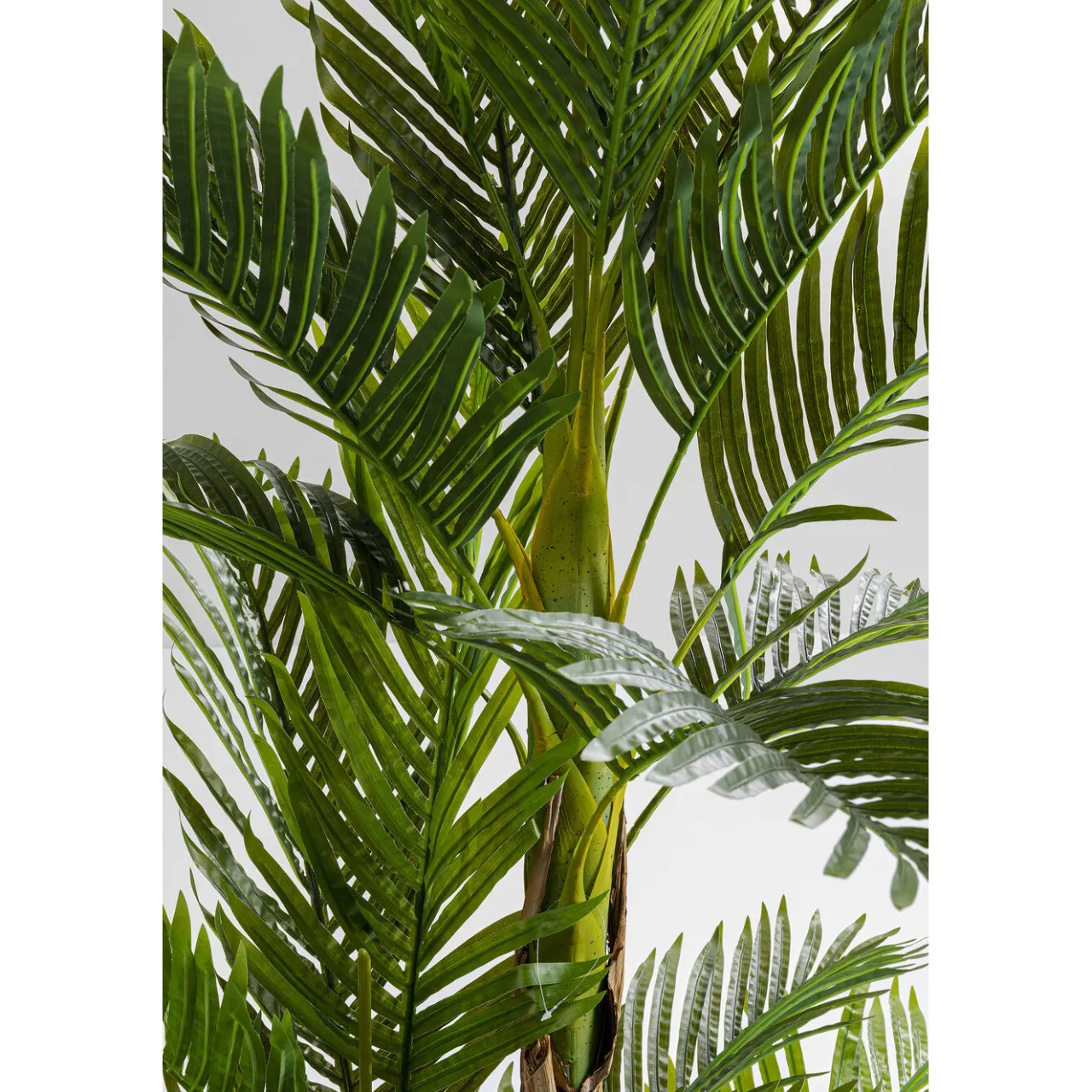 KARE Design Plante Décorative Palm Tree 190Cm New