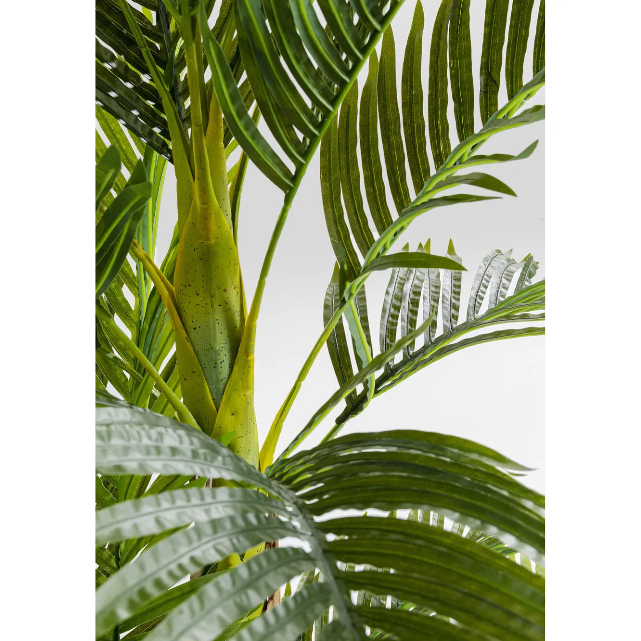 KARE Design Plante Décorative Palm Tree 190Cm New