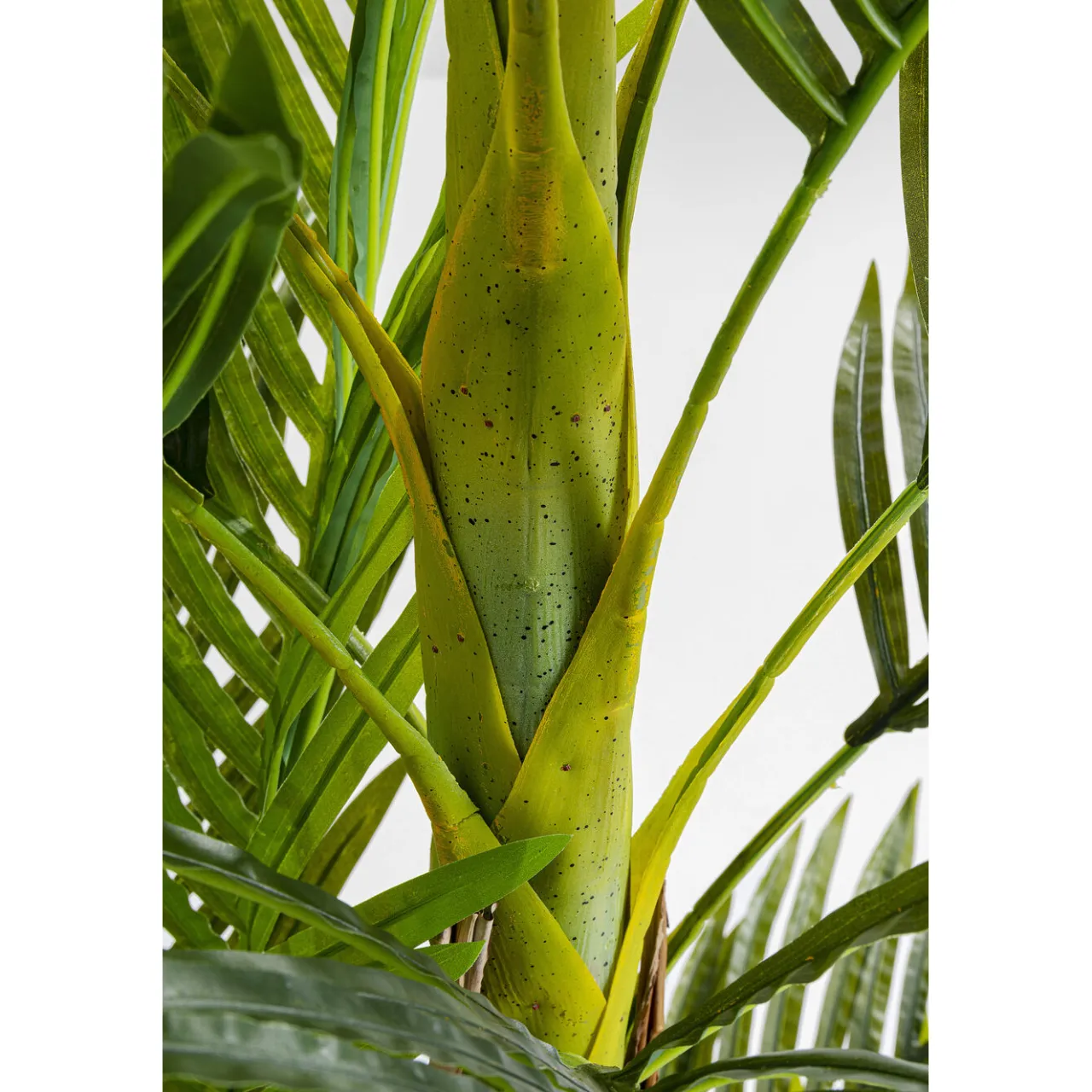 KARE Design Plante Décorative Palm Tree 190Cm New