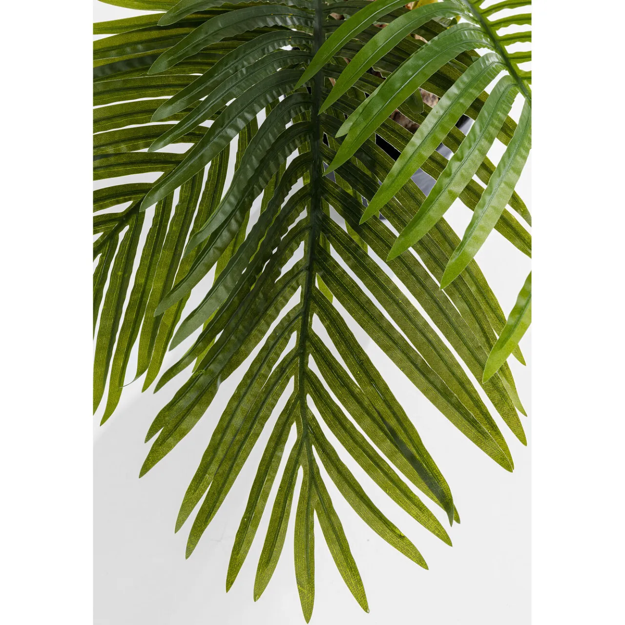 KARE Design Plante Décorative Palm Tree 190Cm Hot