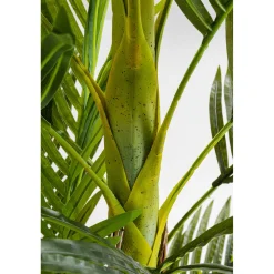 KARE Design Plante Décorative Palm Tree 190Cm Hot