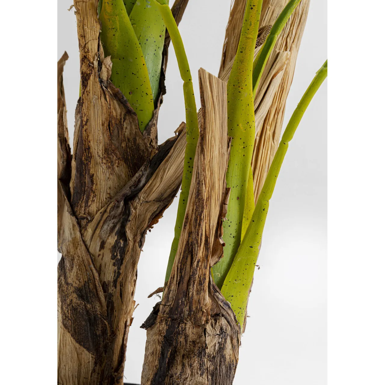 KARE Design Plante Décorative Palm Tree 190Cm Hot