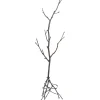 KARE Design Portemanteau Tree Branch 183 New
