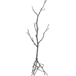 KARE Design Portemanteau Tree Branch 183 New
