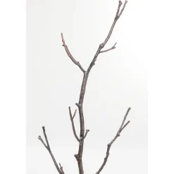 KARE Design Portemanteau Tree Branch 183 New