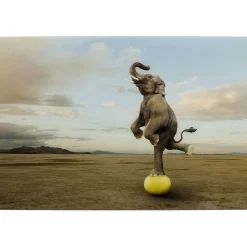KARE Design Tableau En Verre Balance Elefant 150X100Cm Hot